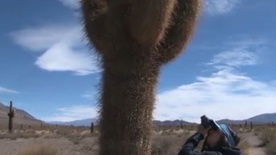 Vecinos de la naturaleza: vivir en Los Cardones, Argentina